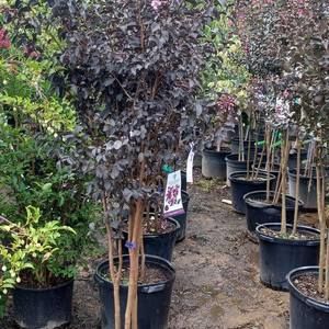 Meet your Posher, Stephen